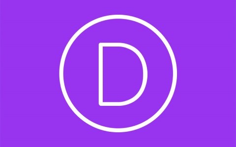 Divi Theme v4.17.3 WordPress多风格主题内置免激活版