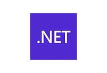 Microsoft .NET Runtime v9.0.05 (.NET框架运行库)