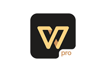 WPS Office Pro v13.37.6 WPS安卓专业版黑金图标