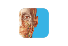 Atlas人体解剖学图谱APP v2023.05.005 破解高级版